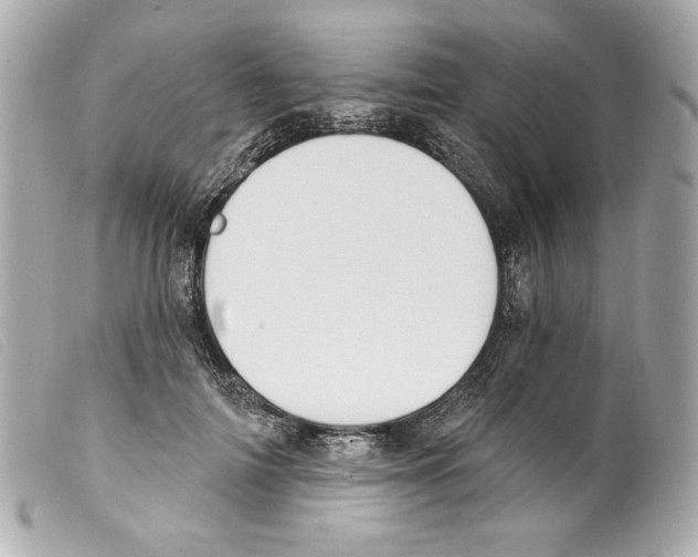 X0000099320698200805301216