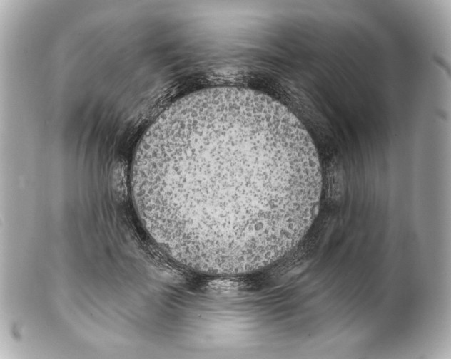 X0000099320699200805301216