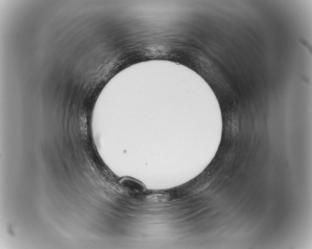 X0000099320700200805301216
