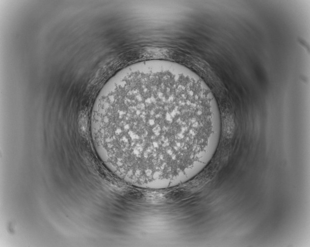 X0000099320701200805301216