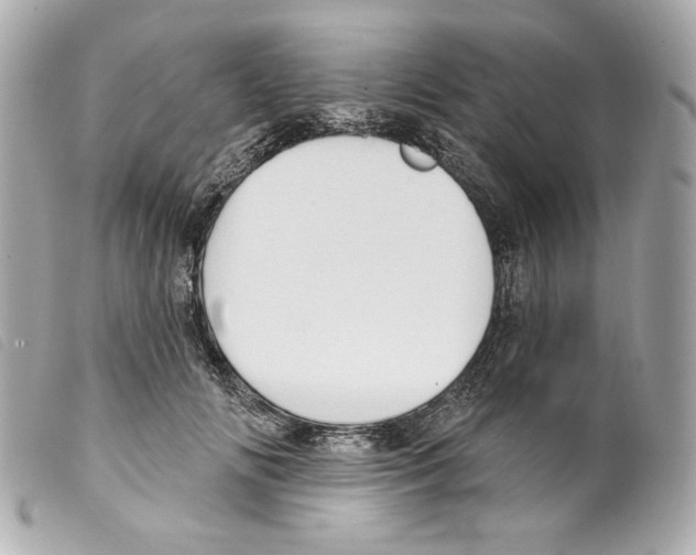 X0000099320702200805301216