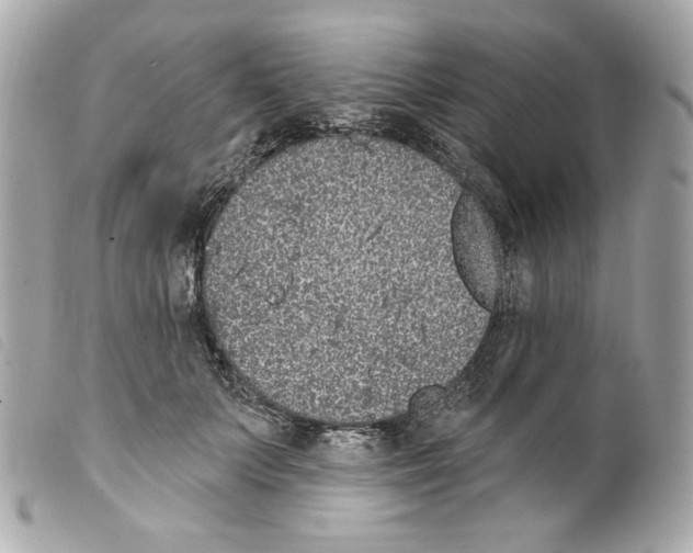 X0000099320703200805301216