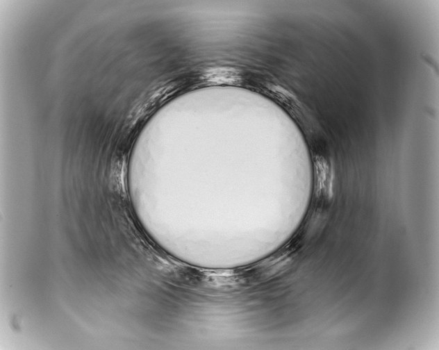 X0000099320705200805301216
