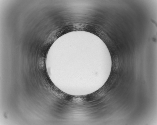 X0000099320706200805301216