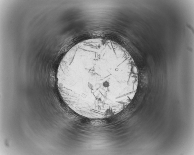 X0000099320707200805301216