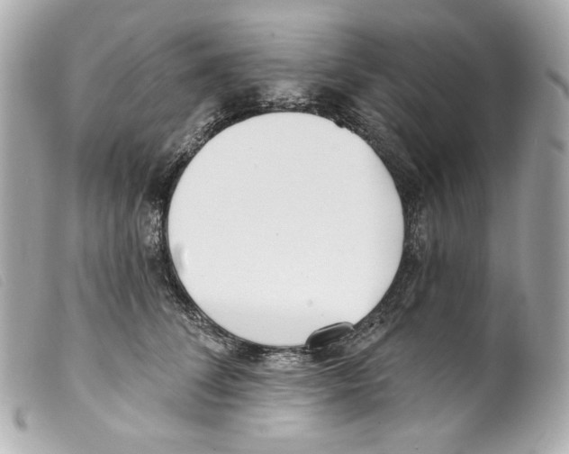 X0000099320708200805301216