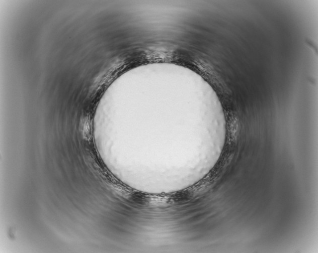 X0000099320709200805301216