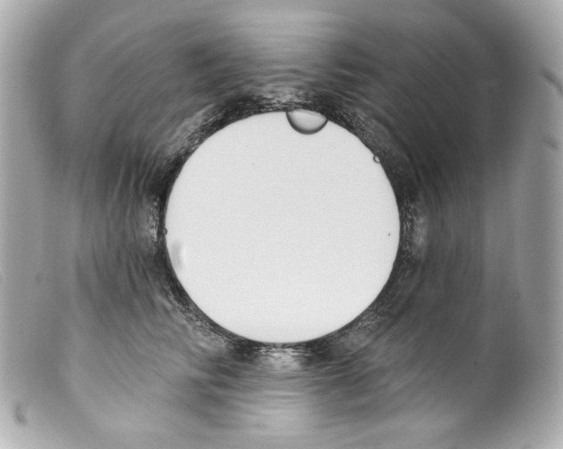 X0000099320710200805301216