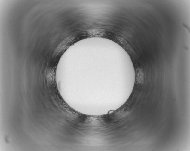 X0000099320713200805301216