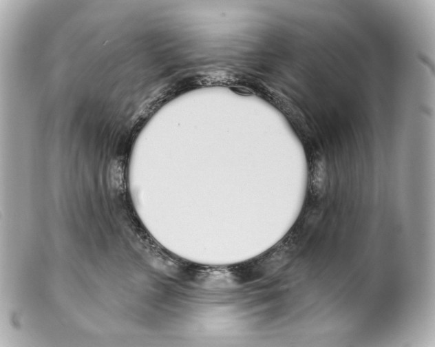 X0000099320715200805301216
