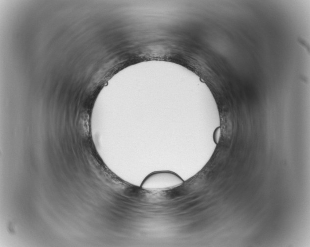 X0000099320718200805301215