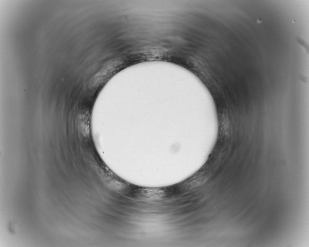 X0000099320719200805301215