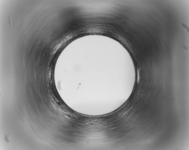 X0000099320723200805301215