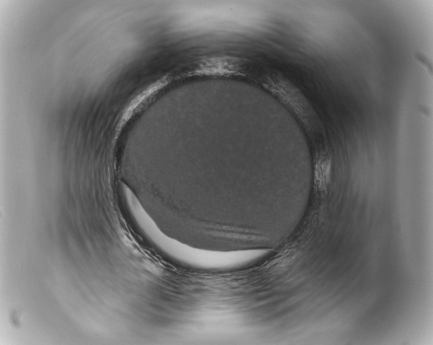 X0000099320724200805301215