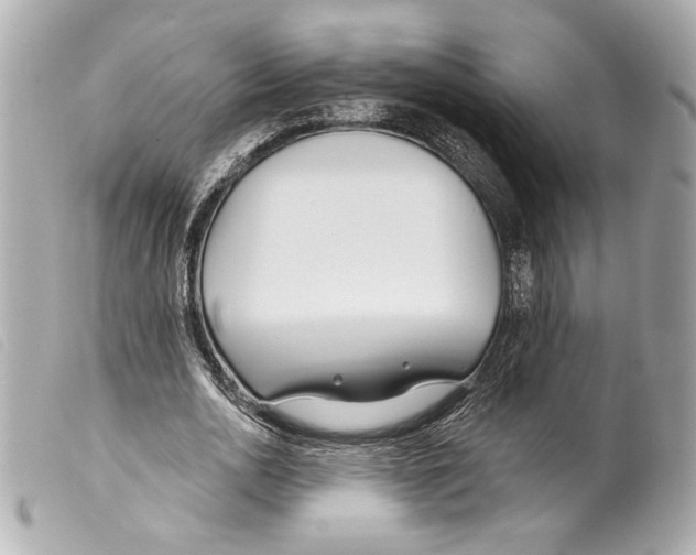 X0000099320726200805301215