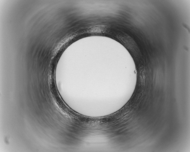 X0000099320728200805301215