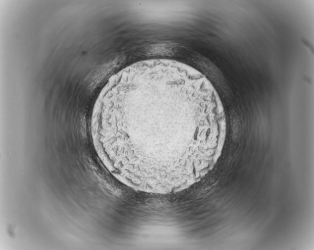 X0000099320729200805301215