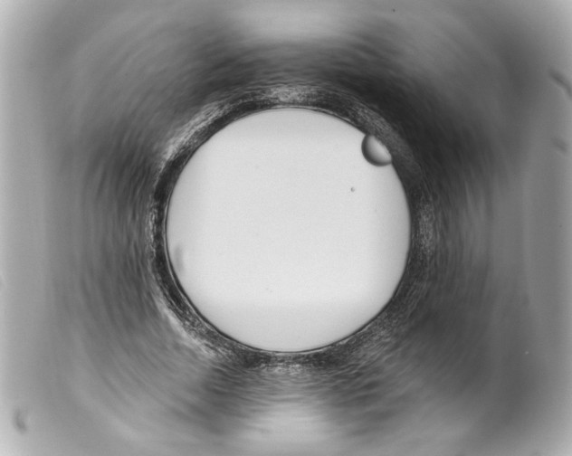 X0000099320730200805301215