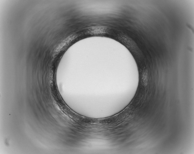 X0000099320732200805301215