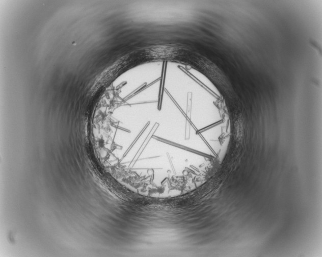X0000099320733200805301215