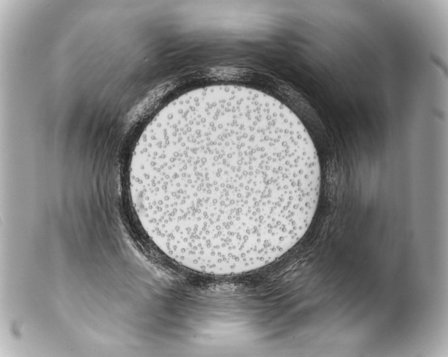 X0000099320734200805301215