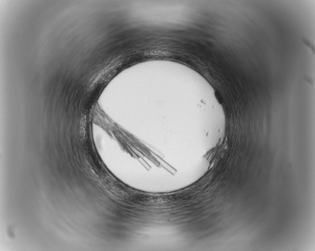 X0000099320735200805301215