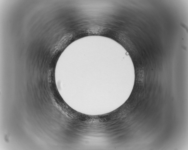 X0000099320738200805301215