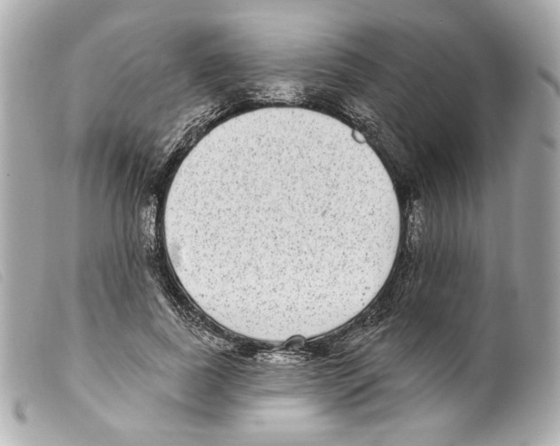 X0000099320739200805301215