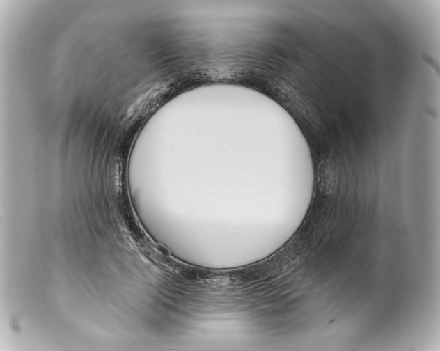 X0000099320740200805301215