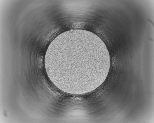 X0000099320741200805301215