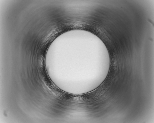 X0000099320744200805301215