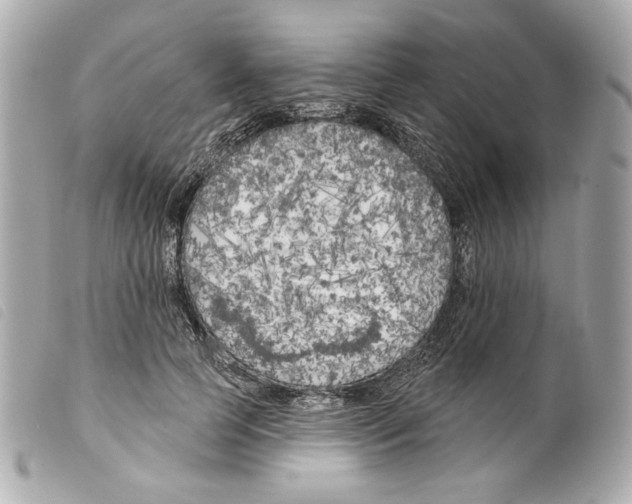 X0000099320745200805301215