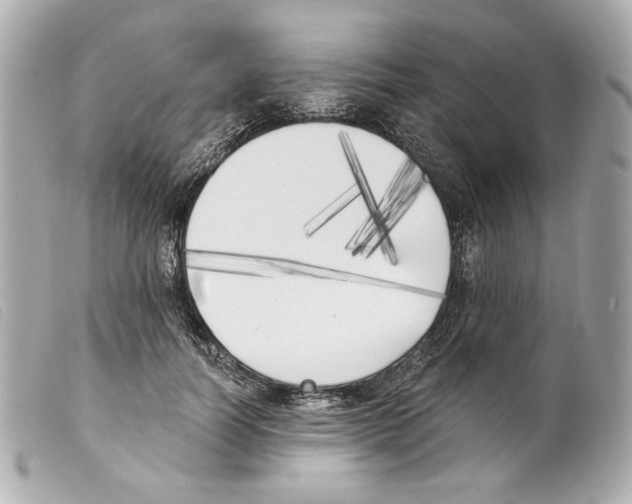 X0000099320746200805301215