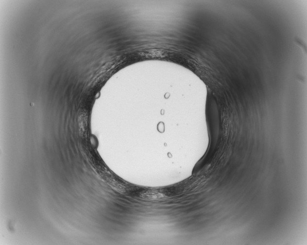 X0000099320747200805301215