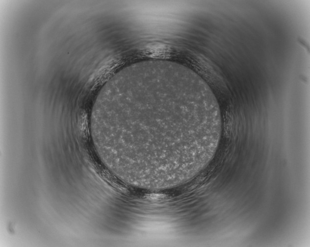 X0000099320748200805301215