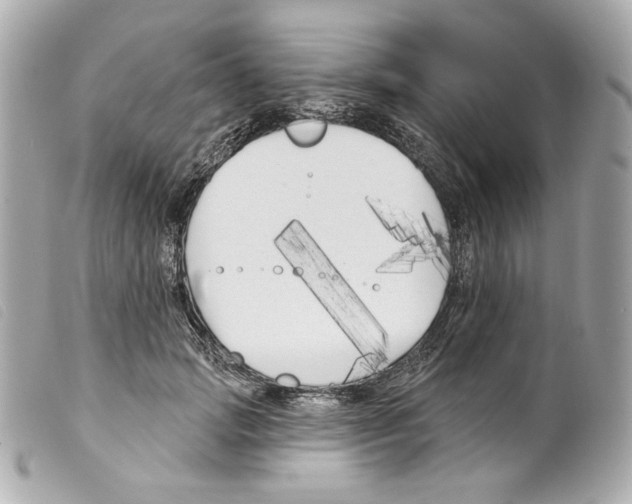 X0000099320749200805301215