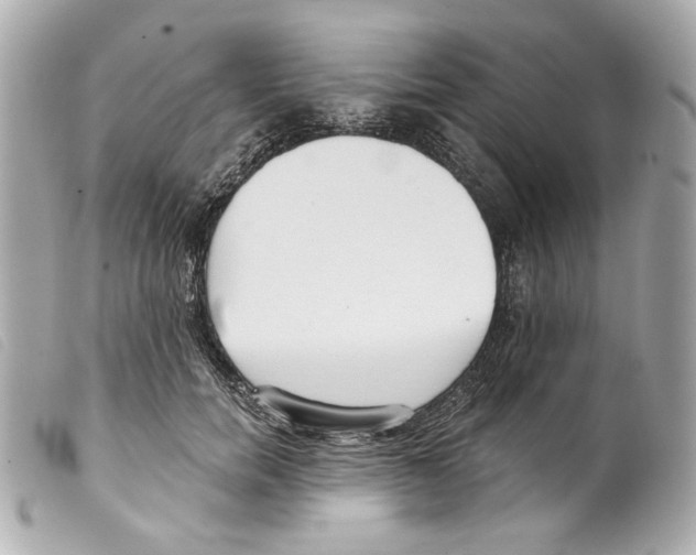 X0000099320750200805301215