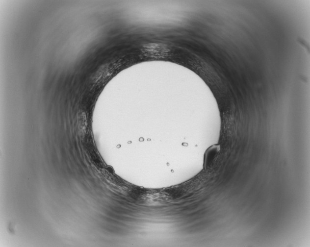 X0000099320752200805301215
