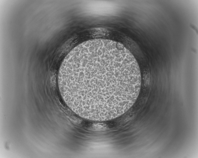 X0000099320753200805301215
