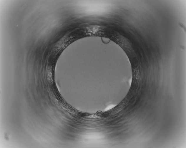 X0000099320754200805301215