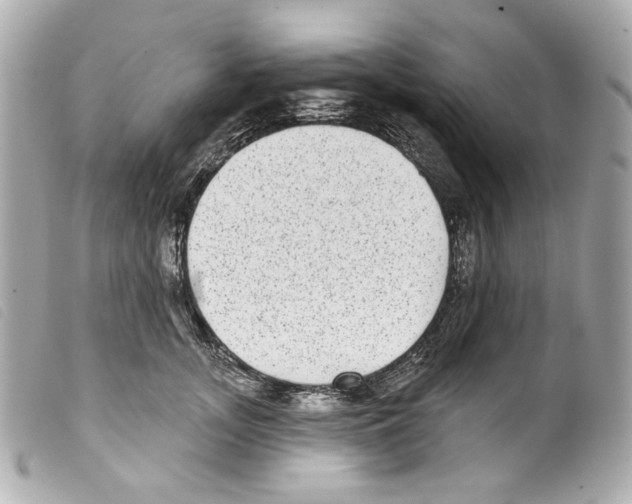 X0000099320755200805301215