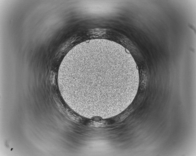 X0000099320758200805301215