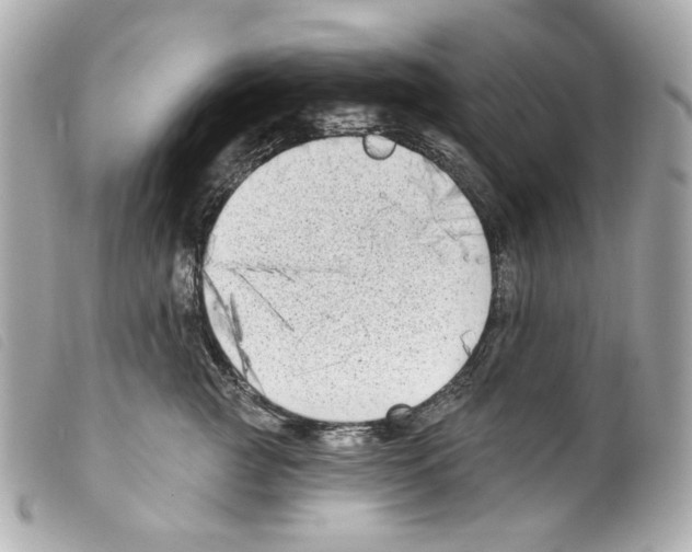 X0000099320761200805301215