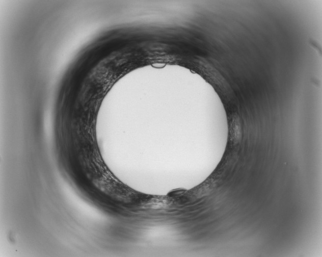 X0000099320764200805301215