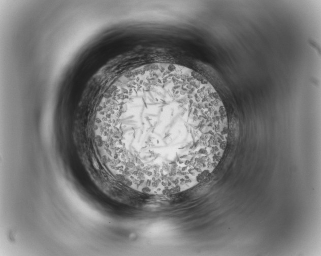X0000099320765200805301215