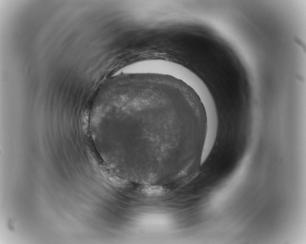 X0000099320767200805301215
