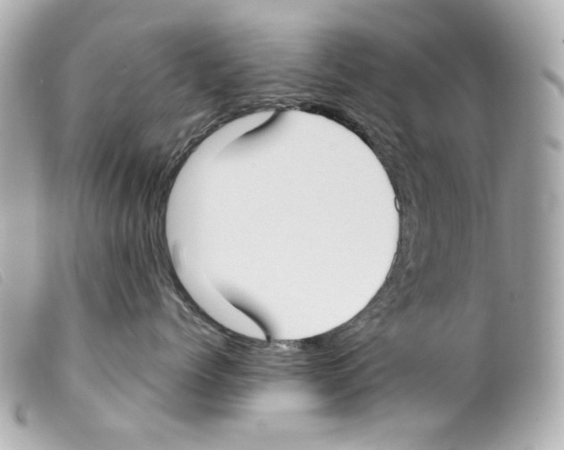 X0000099320768200805301215