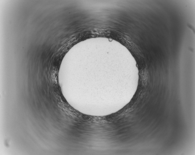 X0000099320770200805301215