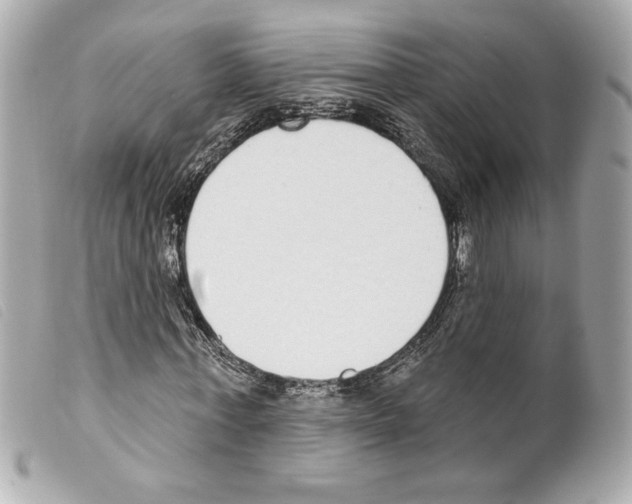 X0000099320771200805301215
