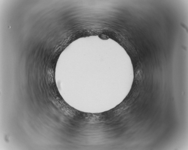 X0000099320772200805301215